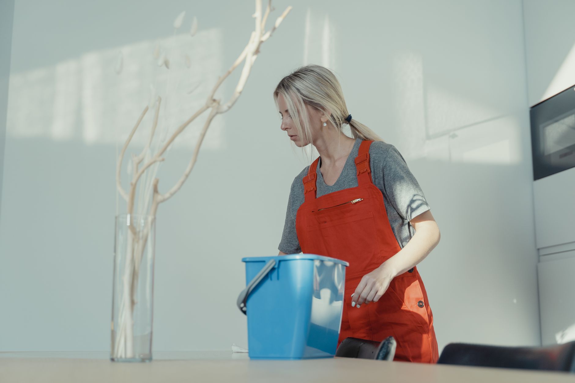 Cleaning Service