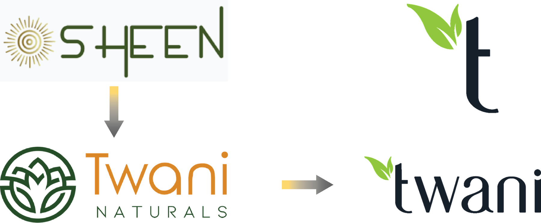 SHEEN to Twani logo, before and after
